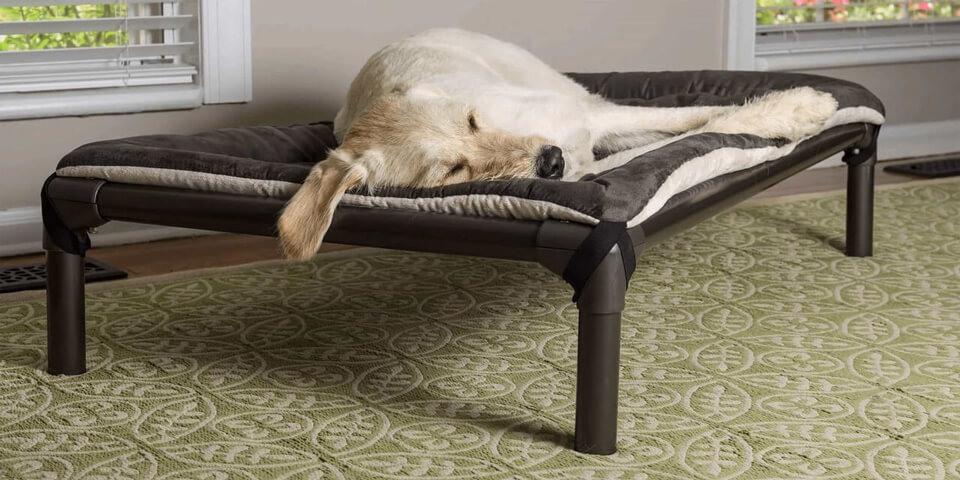 Dog resting on a Kuranda Dog Bed